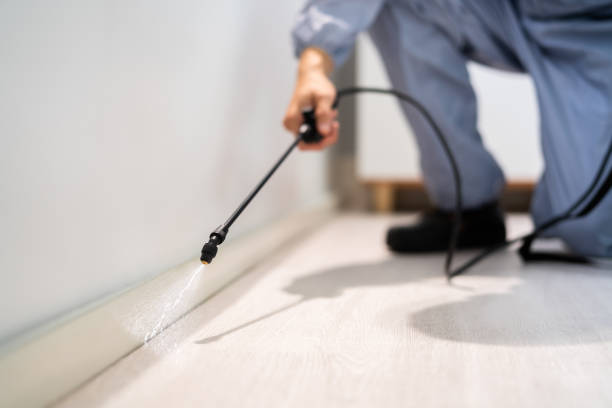 Professional exterminator conducting IPM assessment in Riverdale Park