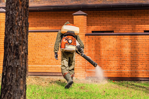 Bed Bug Clearance Verification and Documentation in Riverdale Park